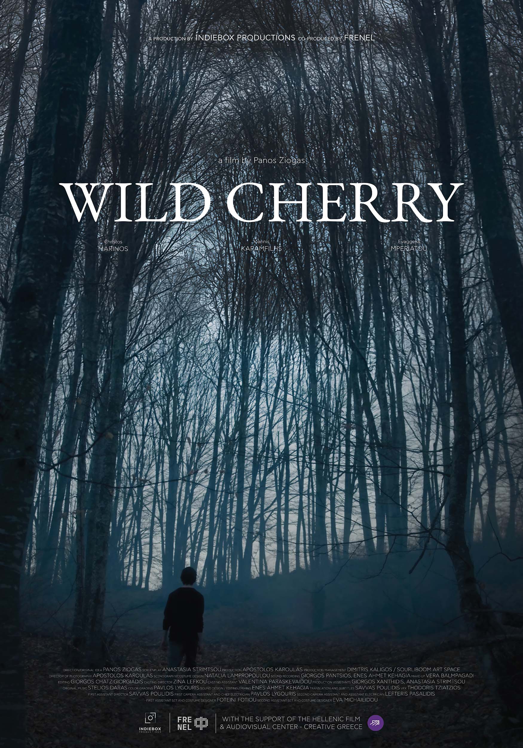 Poster of the short drama film Wild Cherry (2025)