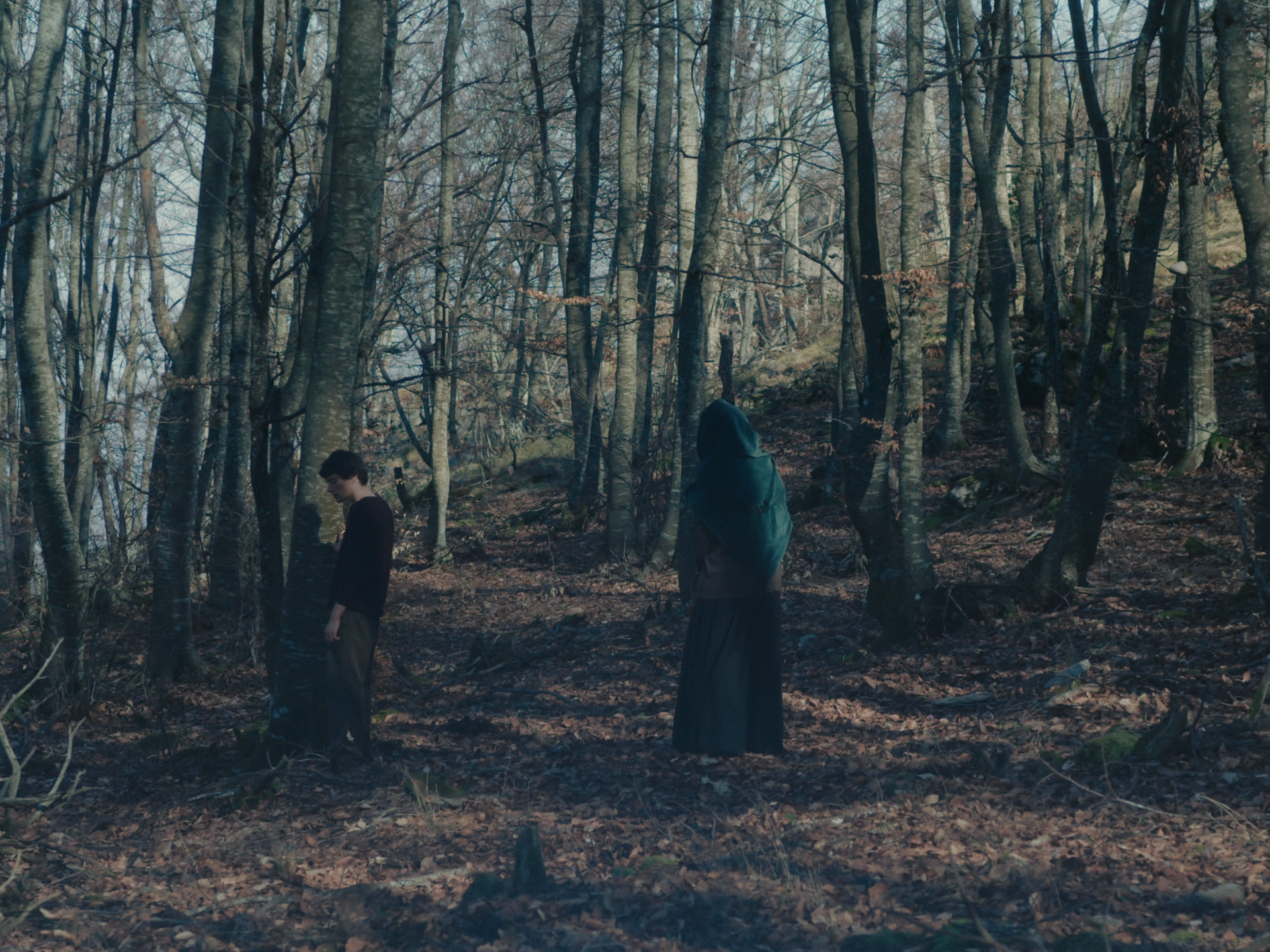Film Still from the short film Wild Cherry